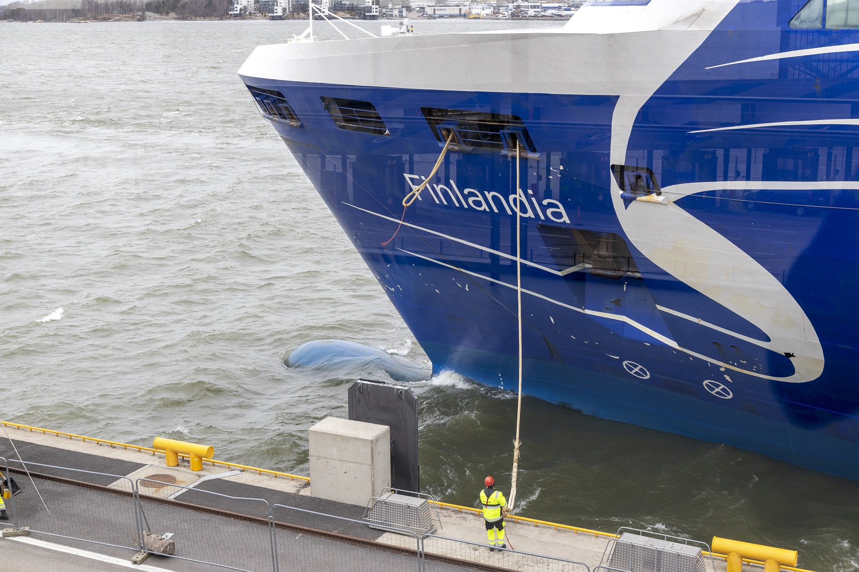 Iso, Finlandia-niminen alus satamalaiturin vieressä. Satamassa työasuinen henkilö pitää kiinni kiinnitysköydestä.