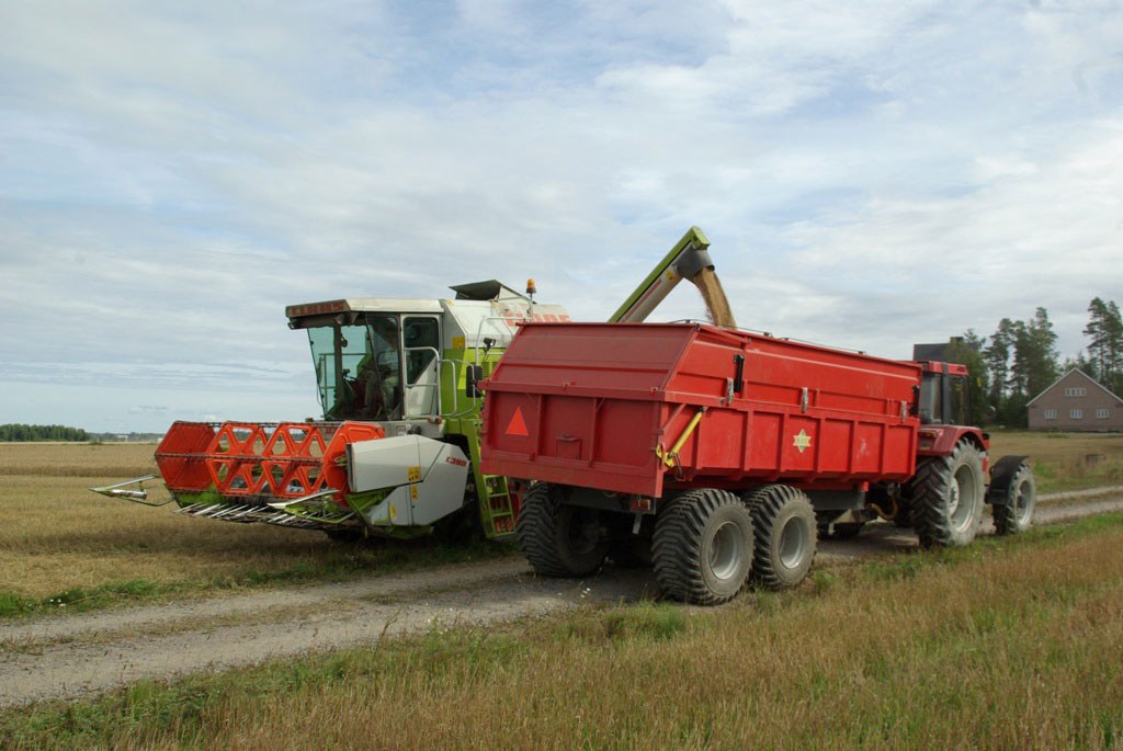 Puhdistetut jyvät päätyvät säiliöön, joka tyhjennetään traktorin peräkärryyn ruuvikuljettimella. Traktorilla jyvät viedään kuivurille tai siiloon, josta matka jatkuu siemenkauppiaan varastoon.